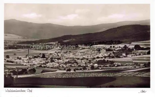 AK / Ansichtskarte Waldmuenchen Cham Bayern Panorama