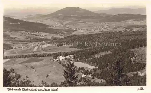 AK / Ansichtskarte Lam Oberpfalz Blick von der Scheibenstrasse zum Lama Winkel