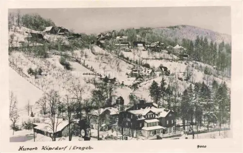 AK / Ansichtskarte Kipsdorf Altenberg Sachsen Panorama