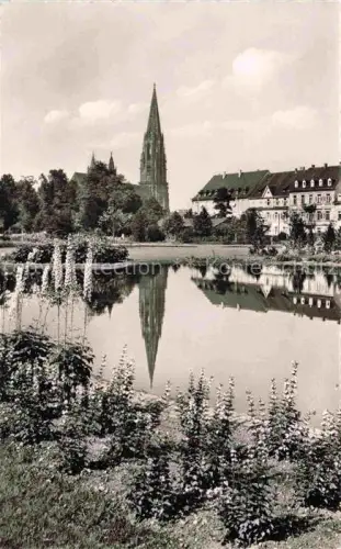 AK / Ansichtskarte FREIBURG Breisgau BW Stadtgarten mit Muenster