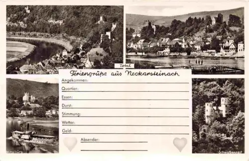 AK / Ansichtskarte Neckarsteinach Panorama Mittelburg Schwalbennest