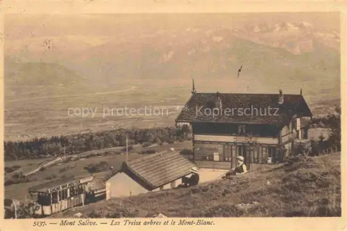 AK / Ansichtskarte Mont Saleve ANNECY 74 Haute-Savoie Les Treize arbres et le Mont Blanc