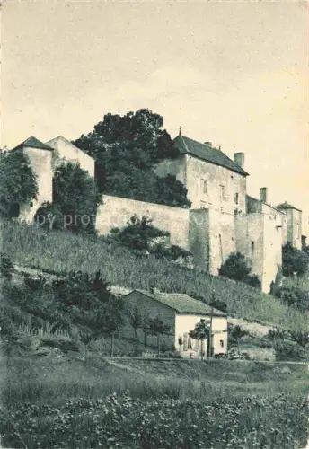 AK / Ansichtskarte Jaulny Toul 54 Meurthe-et-Moselle Chateau