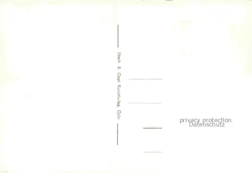 AK / Ansichtskarte OSLO  Norge Slottet