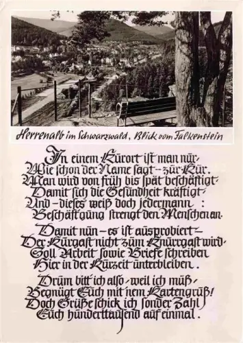 AK / Ansichtskarte Herrenalb BAD HERRENALB BW Blick vom Falkenstein
