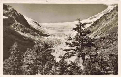 AK / Ansichtskarte Gletscher Ferner Glacier Glaciar Ghiacciaio-- Palue Schweiz 