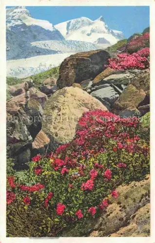 AK / Ansichtskarte Photochromie Verlag Photochromie Nr. Serie 579 No. 1478 Gletscher Glacier