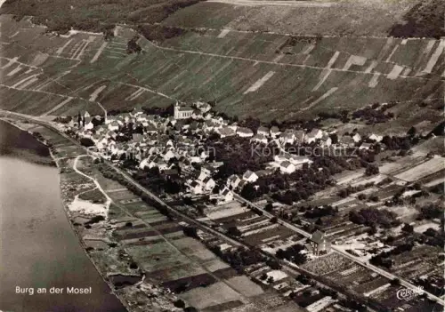 AK / Ansichtskarte Burg Mosel Fliegeraufnahme