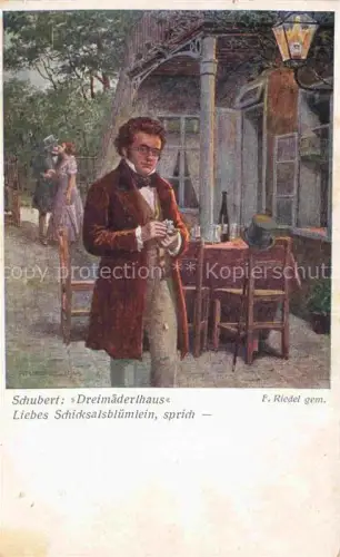 AK / Ansichtskarte SCHUBERT Franz (1797-1828) Komponist Dreimaederlhaus 