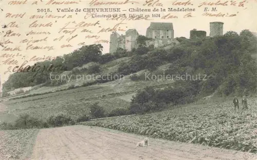 AK / Ansichtskarte Vallee de Chevreuse Palaiseau 91 Essonne Chateau de la Madeleine