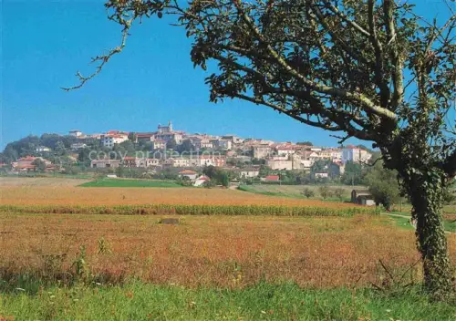 AK / Ansichtskarte Monflanquin Villeneuve-sur-Lot 47 Lot-et-Garonne Vue generale