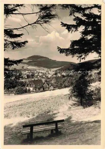 AK / Ansichtskarte Geising Erzgebirge Sachsen Panorama