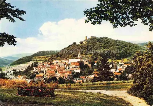 AK / Ansichtskarte Biedenkopf Lahn Hessen Panorama Schloss