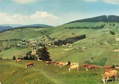 AK / Ansichtskarte Todtnauberg Schwarzwald BW Fliegeraufnahme