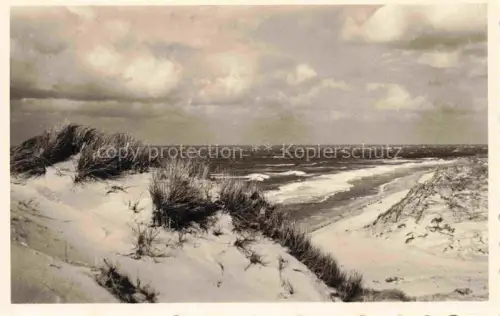 AK / Ansichtskarte AMRUM Insel Nebel Nordfriesland Duenen Meerblick