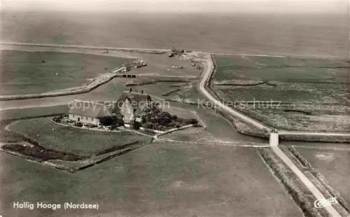 AK / Ansichtskarte Hallig Hooge Fliegeraufnahme