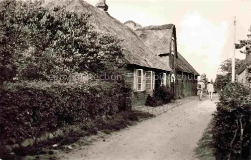 AK / Ansichtskarte Utersum Insel Foehr Nordfriesland Schleswig-Holstein Friesenhaus