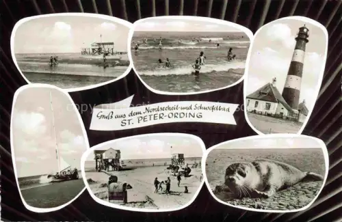 AK / Ansichtskarte St Peter Ording Nordseebad Strand Badespass Leuchtturm Robbe