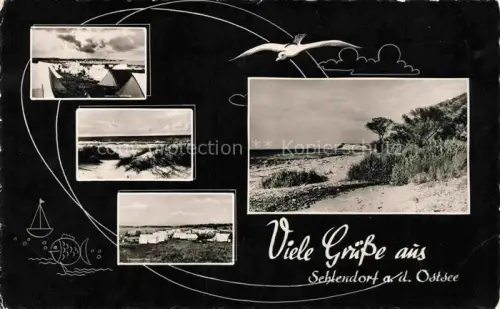 AK / Ansichtskarte Sehlendorf Ostseebad Blekendorf Ploen Schleswig-Holstein Camping Strandpartien