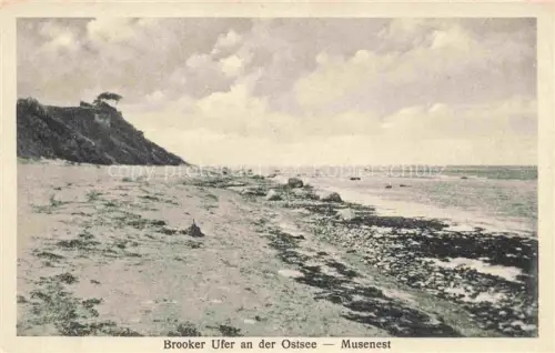 AK / Ansichtskarte Brook Ostseebad Holstein Kaltenkirchen Segeberg Schleswig-Holstein Brooker Ufer Musenest