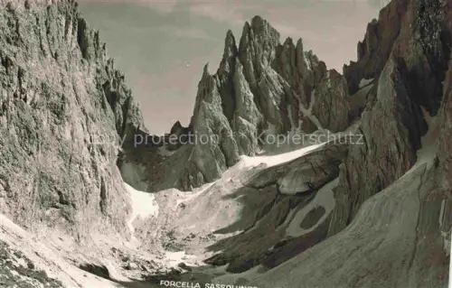 AK / Ansichtskarte Forcella Sassolungo Langkofel Sasso-Lungo Bolzano IT 