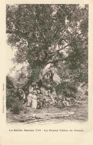 AK / Ansichtskarte Sainte Baume Saint-Maximin-la-Sainte-Baume Brignoles 83 Var Le Grand Chene de Ginies 