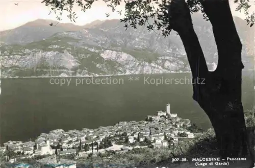 AK / Ansichtskarte Malcesine Lago di Garda Panorama