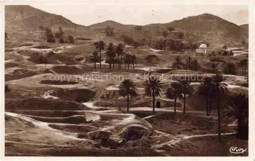 AK / Ansichtskarte Matmata Tunesie Palme