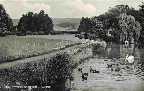 AK / Ansichtskarte Pyrmont BAD PYRMONT Ententeich Kurpark 