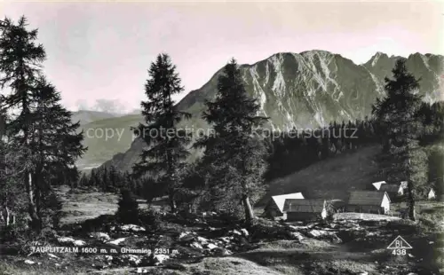 AK / Ansichtskarte Tauplitzalm 1650m Tauplitzer-Berghof Dachstein AT Grimming 