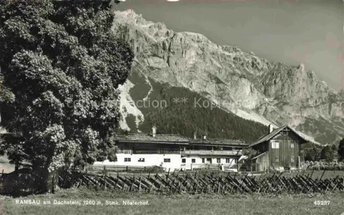 AK / Ansichtskarte RAMSAU  Dachstein Steiermark AT Stmk Noeslerhof 