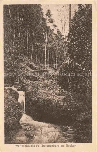 AK / Ansichtskarte Zwingenberg Neckar BW Wolfsschlucht 