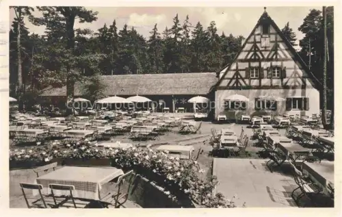 AK / Ansichtskarte NueRNBERG  CITY Tiergarten Gaststaette Café Waldschaenke 