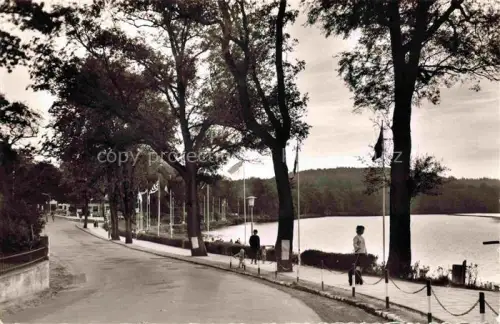AK / Ansichtskarte Malente-Gremsmuehlen Ostholstein Kneipheilbad Dieksee mit Promenade 
