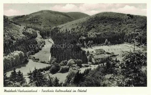 AK / Ansichtskarte Medebach Hochsauerlandkreis NRW Forsthaus Kaltenschei im Ocketal 