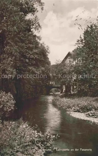 AK / Ansichtskarte Laasphe BAD LAASPHE NRW Lahnpartie an der Fasanerie