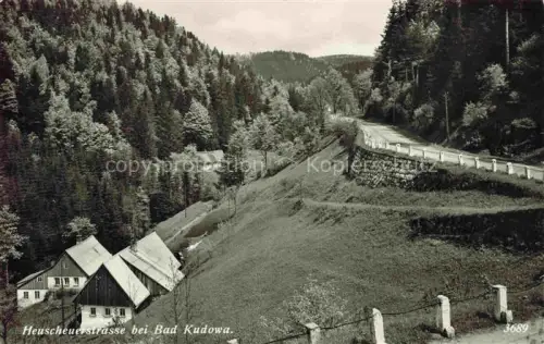AK / Ansichtskarte Bad Kudowa Kudowa-Zdroj Niederschlesien PL Heuscheuerstrasse