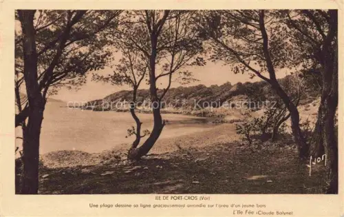 AK / Ansichtskarte Ile-de-Port-Cros HYERES TOULON 83 Var Une plage dessine sa ligne gracieusemont arrondie sur l'aree d'un jeune bois