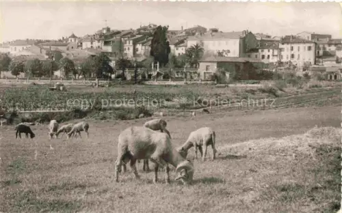 AK / Ansichtskarte Le Puget-sur-Argens Draguignan 83 Var Vue generale