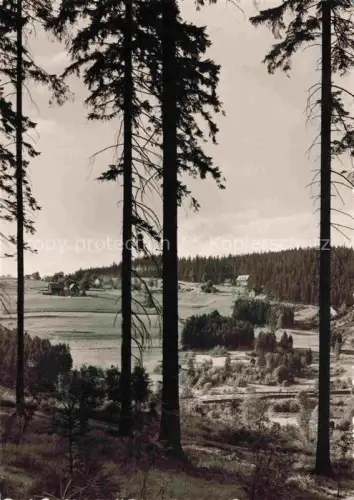 AK / Ansichtskarte Steinheidel Breitenbrunn Erzgebirge Sachsen Sommerfrische 