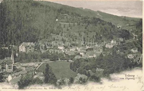 AK / Ansichtskarte Triberg Schwarzwald BW Blick vom Olgaweg