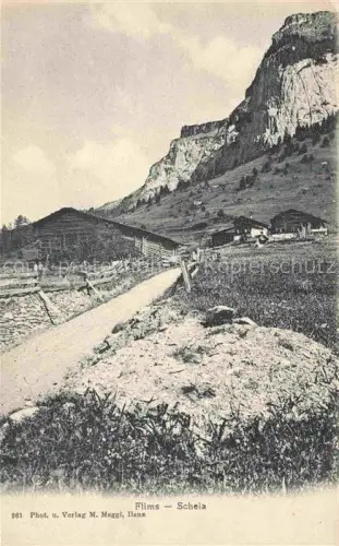 AK / Ansichtskarte Flims GR Schela Teilansicht