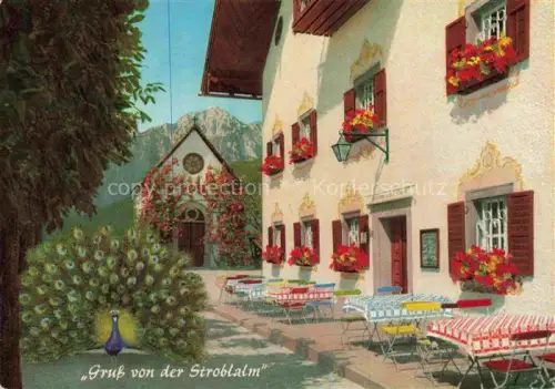 AK / Ansichtskarte Anger Chiemgau Bayern Stroblalm am Hoegl mit Hochstaufen