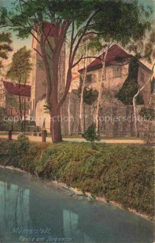 AK / Ansichtskarte Muennerstadt Partie am Joergentor