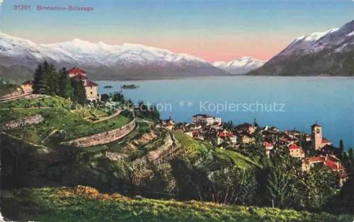 AK / Ansichtskarte Brenscino Brissago Lago Maggiore TI Ferienheim der Schweizer Eisenbahner Panorama