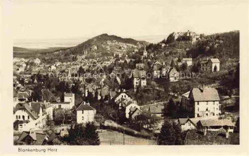 AK / Ansichtskarte Blankenburg Harz Stadtpanorama