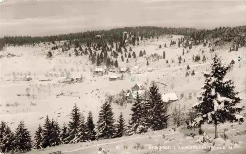 AK / Ansichtskarte Brandmatt Sasbachwalden Ortenaukreis BW Winterpanorama