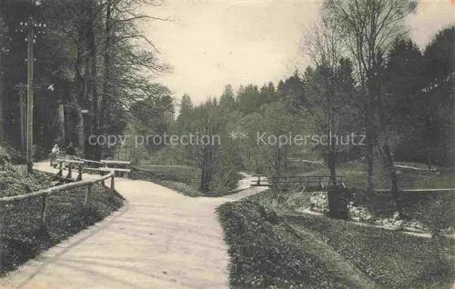AK / Ansichtskarte Weitra Waldviertel Niederoesterreich AT Eingang zum Gabrielental