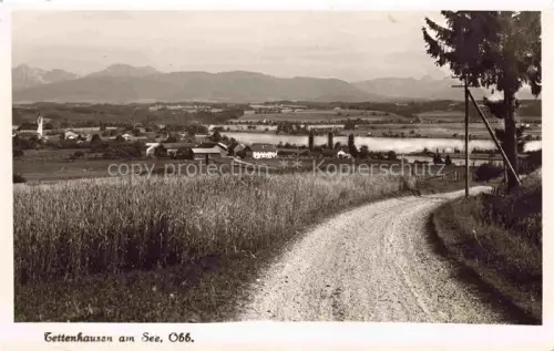 AK / Ansichtskarte Tettenhausen Waging Traunstein Bayern Panorama
