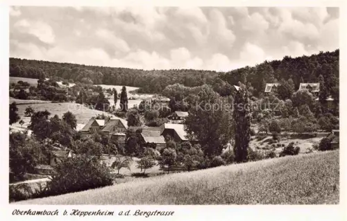 AK / Ansichtskarte Oberhambach Neustadt Heppenheim Weinstrasse Rheinland-Pfalz Panorama Gasthaus Zum Lindenstein